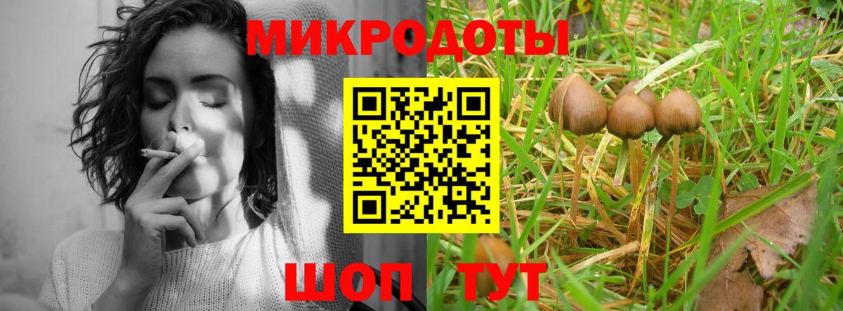 Советский  Галлюциногенные грибы Magic Shrooms  Вход с VPN 