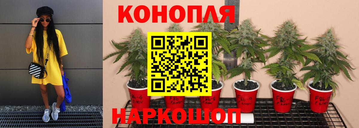 МАРИХУАНА конопля  МАРИХУАНА гибрид  Шишки марихуана VHQ  Вход с VPN  Советский 